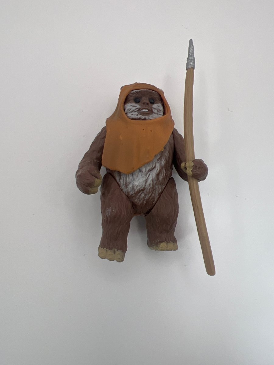 Hasbro: Star Wars Power Of The Force Wicket Ewok 3.75 1998 Action Figure