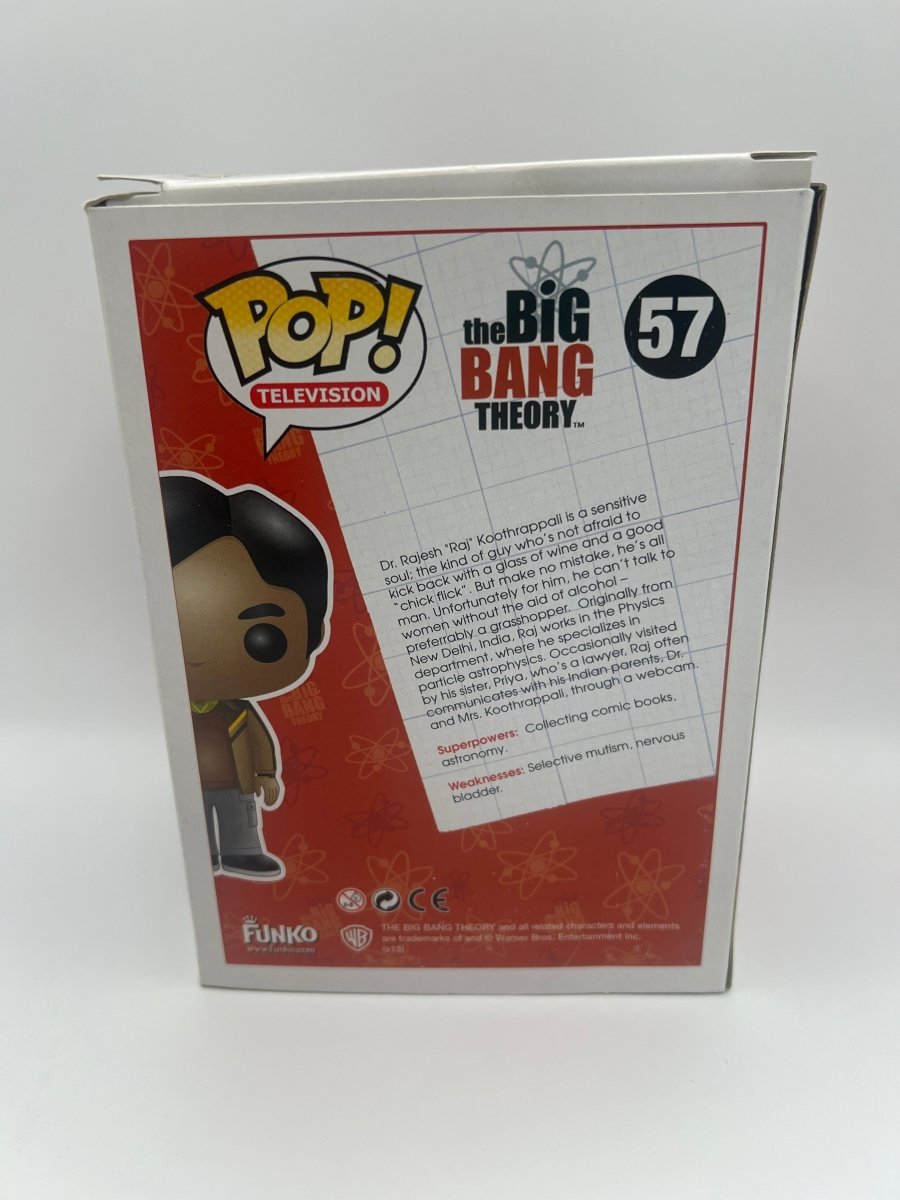 The Big Bang Theory: Ray Koothrappali #57 Funko Pop