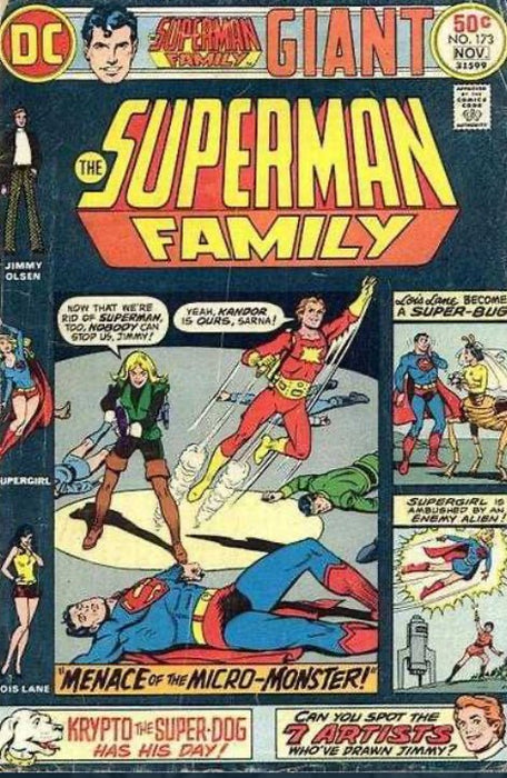 The Superman Family #173 (1975) FN 7  - Comic