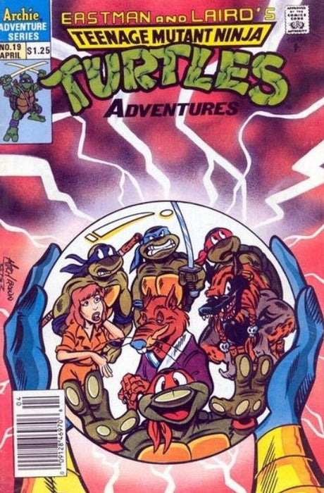 Teenage Mutant Ninja Turtles Adventures #19 Newsstand Edition (1991) NM 9.4  - Comic