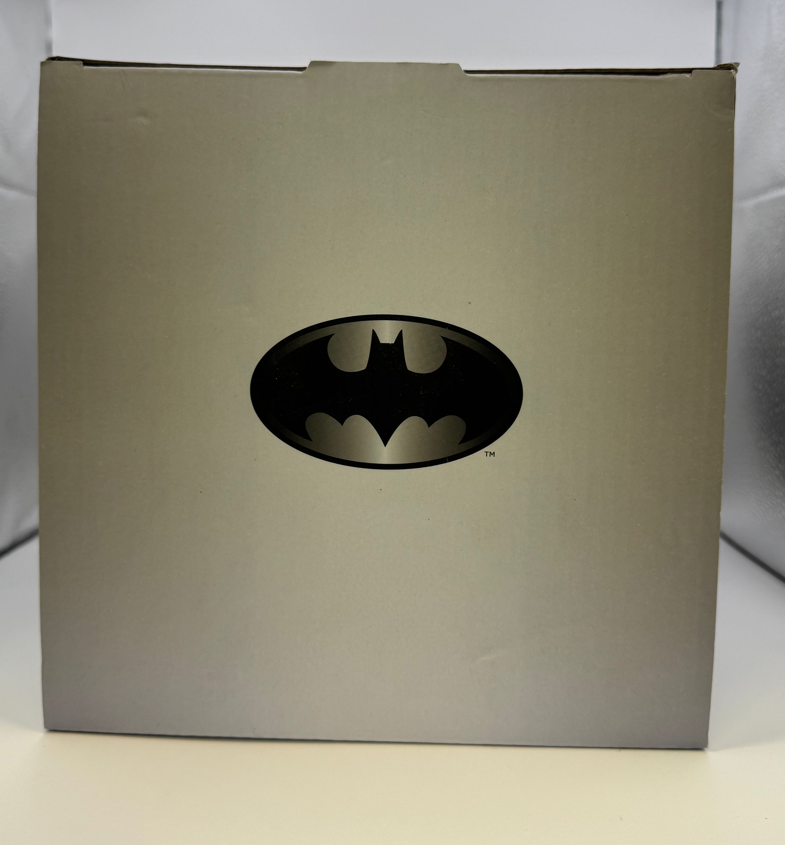 DC Batgirl 10” Statue